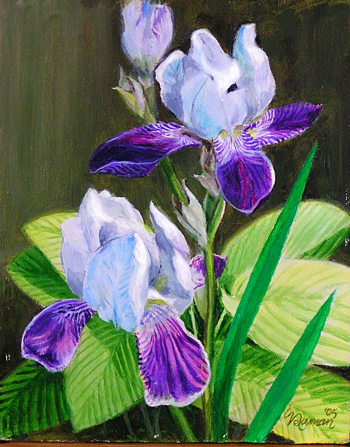 Iris And Hosta Painting by Bob Newman - Fine Art America