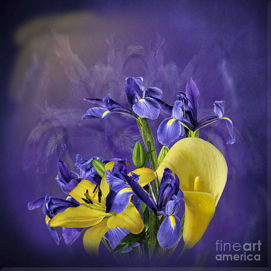 Iris and Lilies Photograph by Shirley Mangini