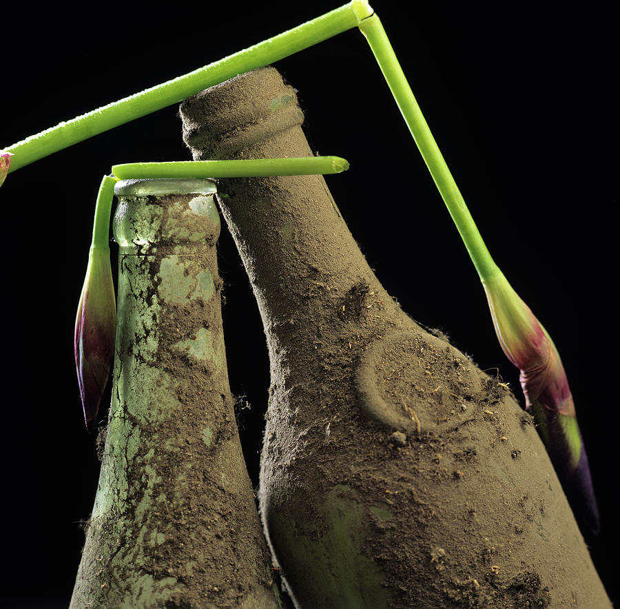Bottle Photograph - Iris and old bottles by Bernard Jaubert