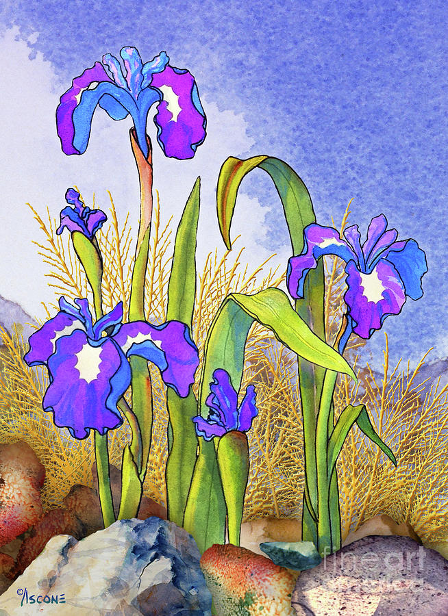 Iris and Rocks Painting by Teresa Ascone