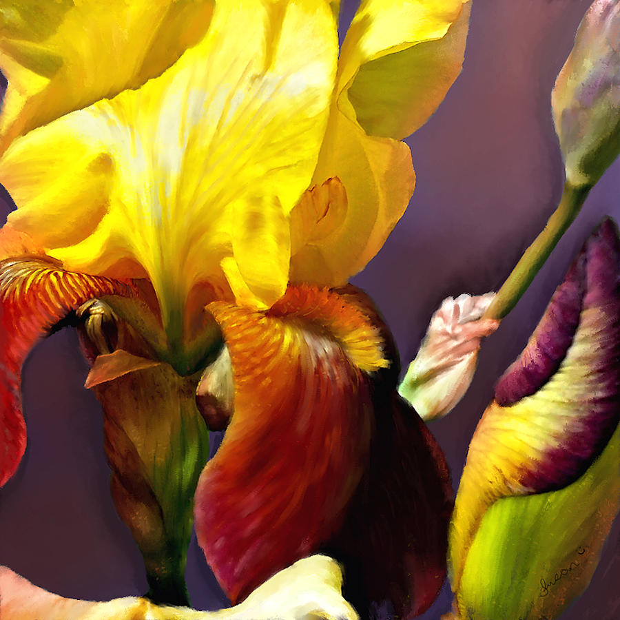Iris Art Digital Art by Susan Kinney