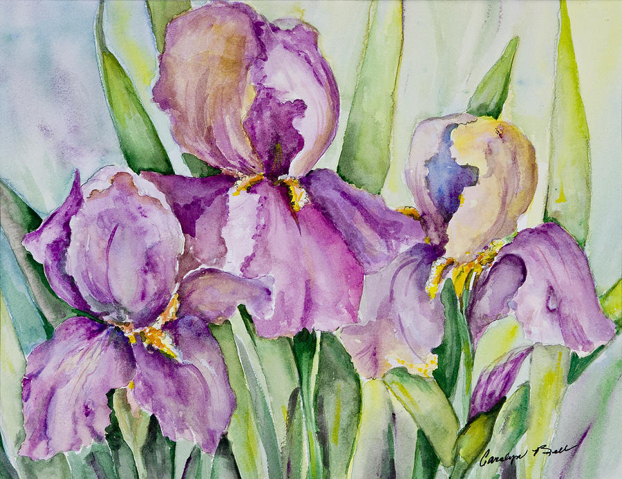 Iris Beauties Painting by Carolyn Bell - Fine Art America