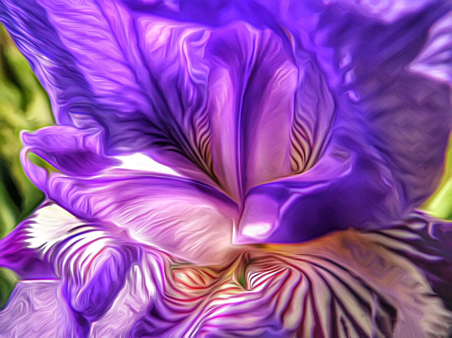 Iris Beauty Photograph by Doris Aguirre