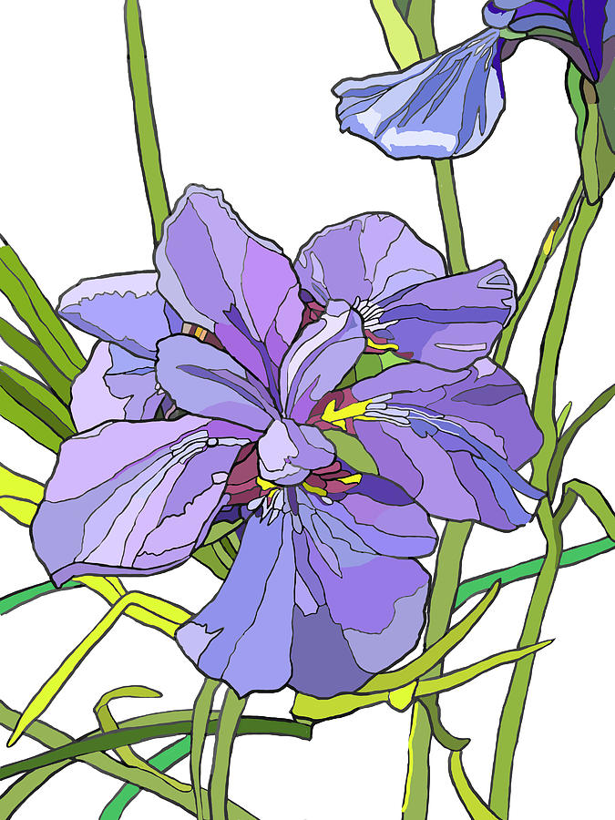 Iris Blossoms Painting by Jamie Downs