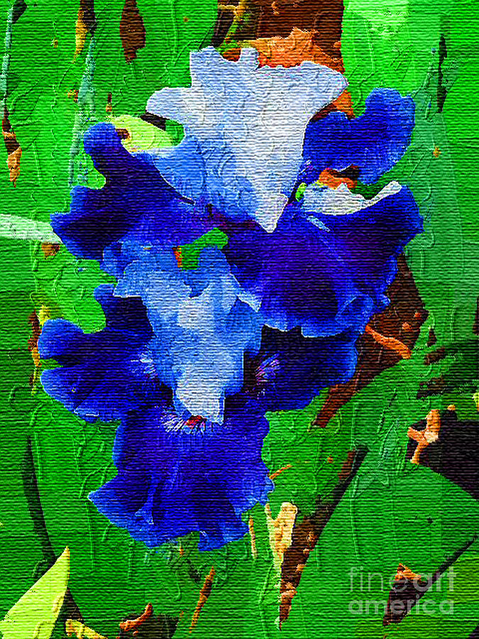 Iris Blue Painting by Diane E Berry