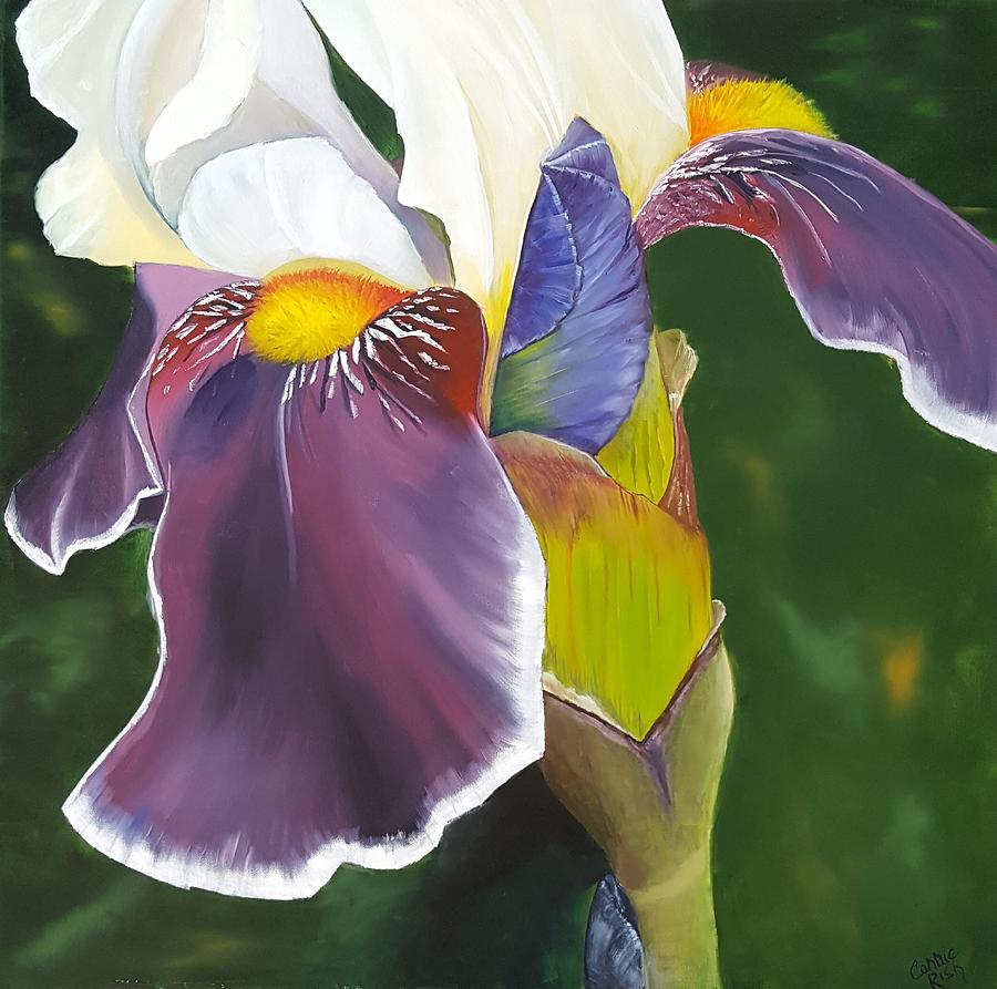 Iris Bud and Spathe Painting by Connie Rish