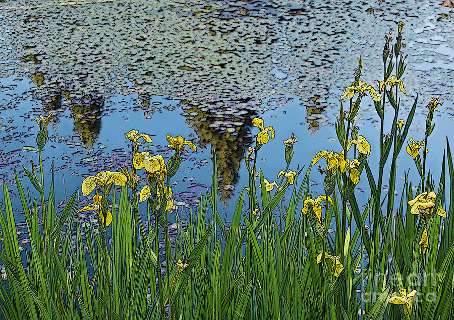 Iris By The Pond - Artistic version Photograph by Maria Janicki