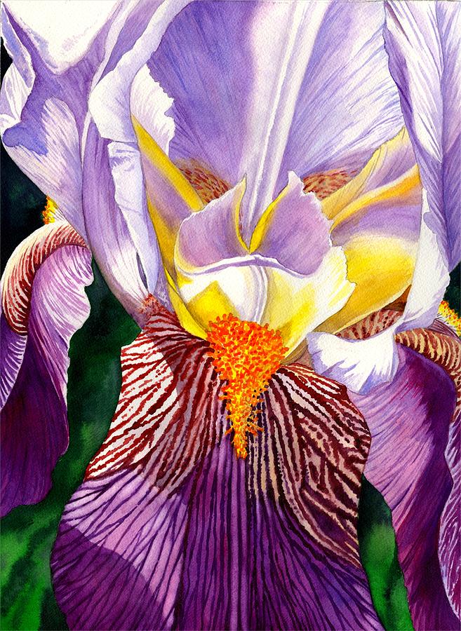 Iris Painting by Catherine G McElroy