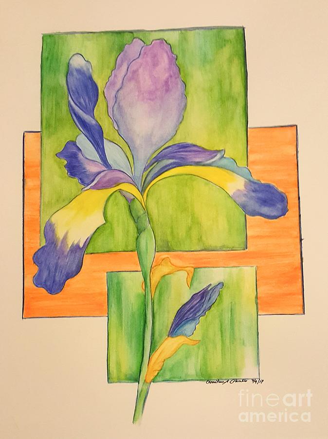 Iris Painting by Christina A Pacillo