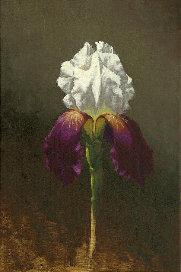 Iris Painting - Iris by Cody DeLong