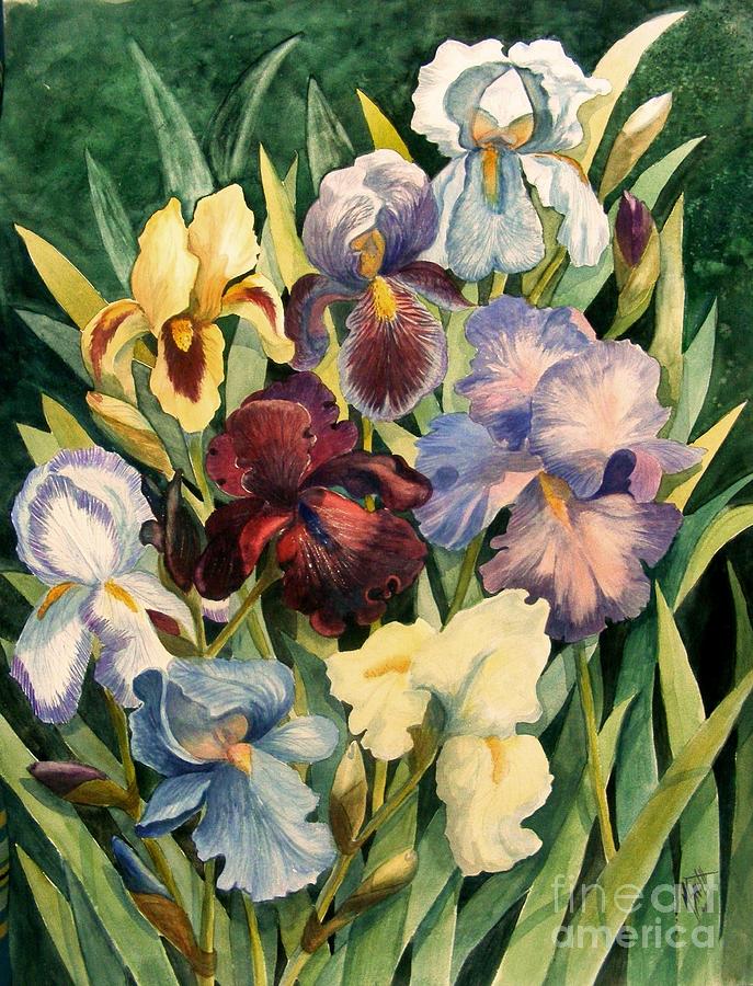 Iris Collection Painting by Marilyn Smith