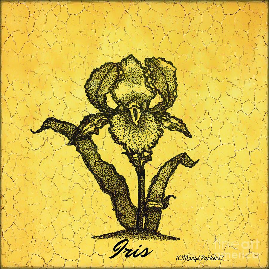 Iris copyright MaryLParker17 Mixed Media by MaryLee Parker