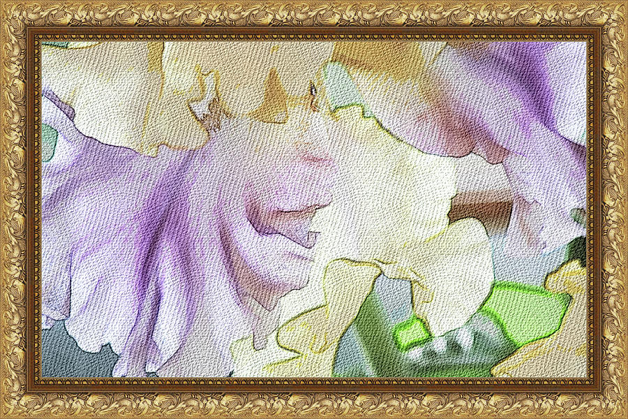 Iris drawing in color with gold frame Digital Art by Bonnie Willis