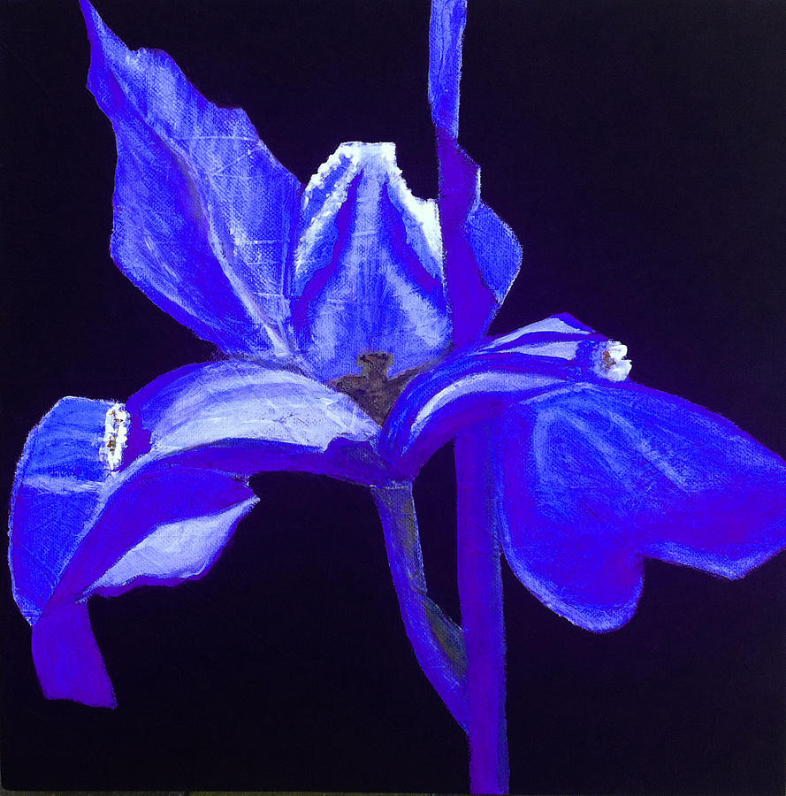 Iris Painting by Elizabeth  Bogard