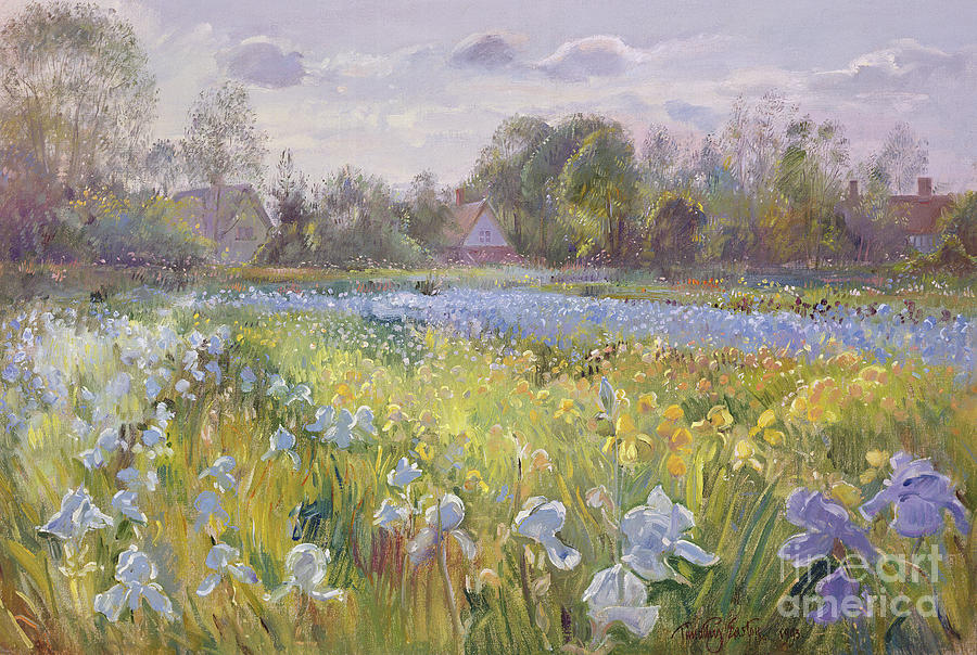 Iris Field in the Evening Light Painting by Timothy Easton