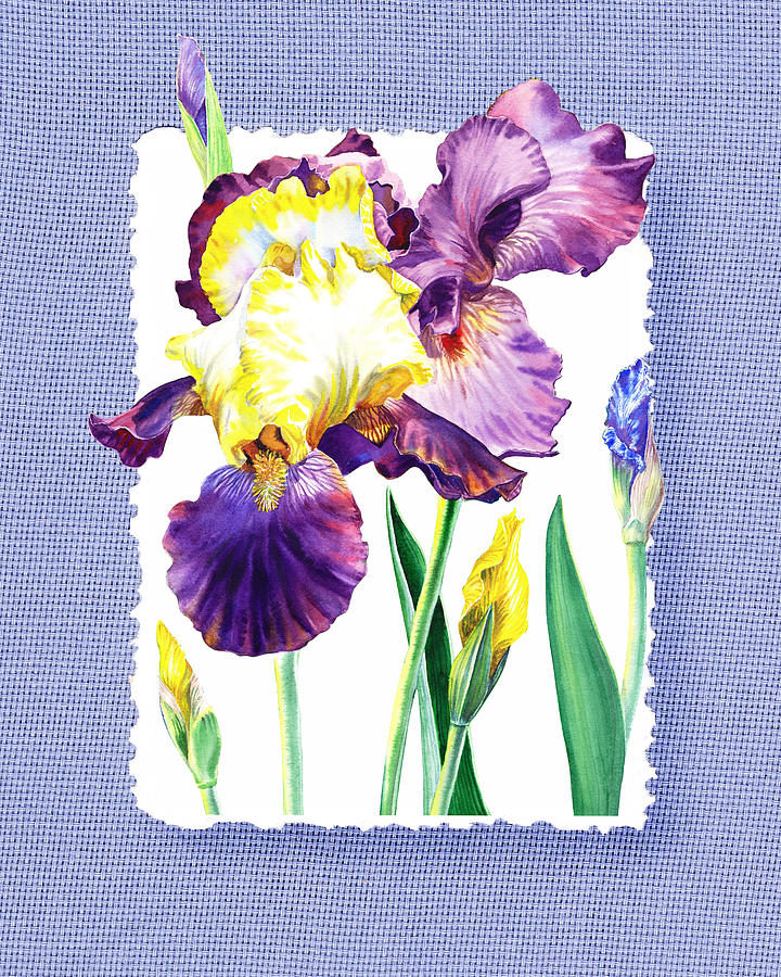 Iris Flower On Baby Blue Painting by Irina Sztukowski