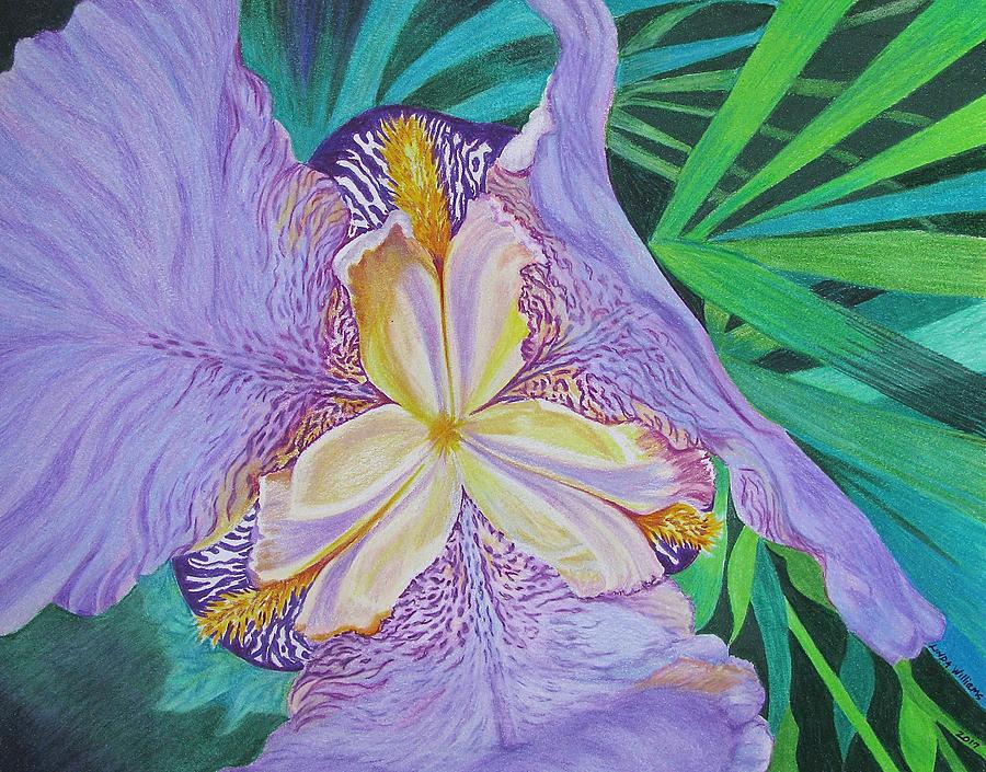 Iris From a Different Perspective Drawing by Linda Williams