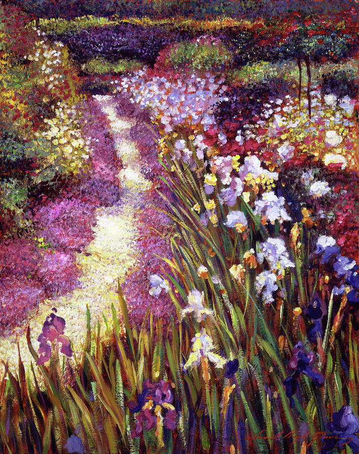 Iris Garden Path Painting by David Lloyd Glover