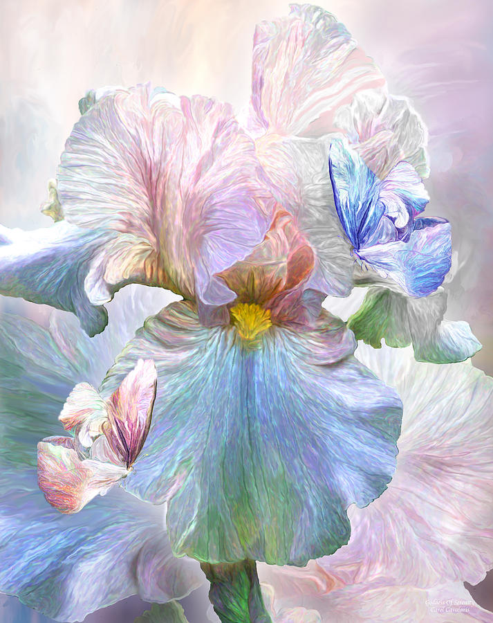 Flowers Still Life Mixed Media - Iris - Goddess Of Serenity by Carol Cavalaris