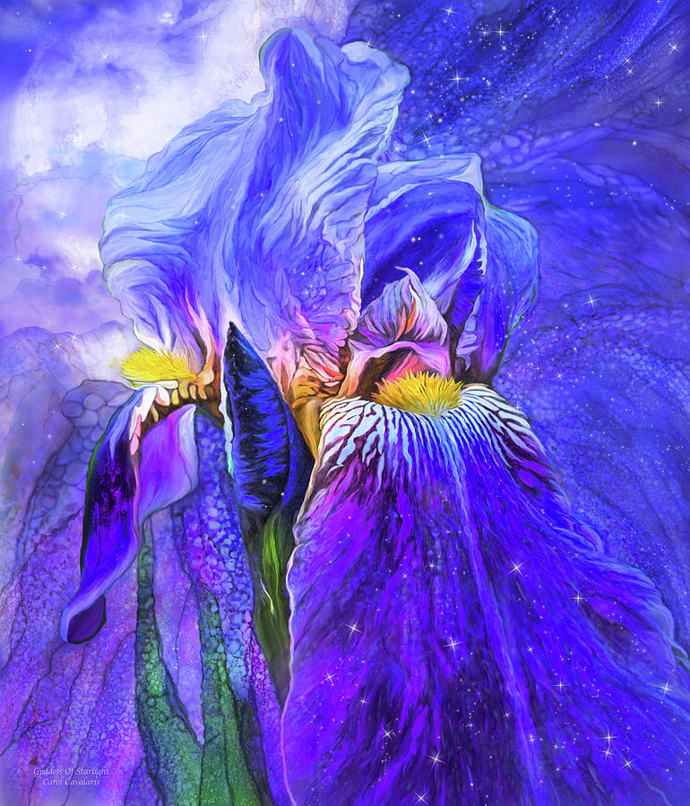 Iris - Goddess Of Starlight Mixed Media by Carol Cavalaris
