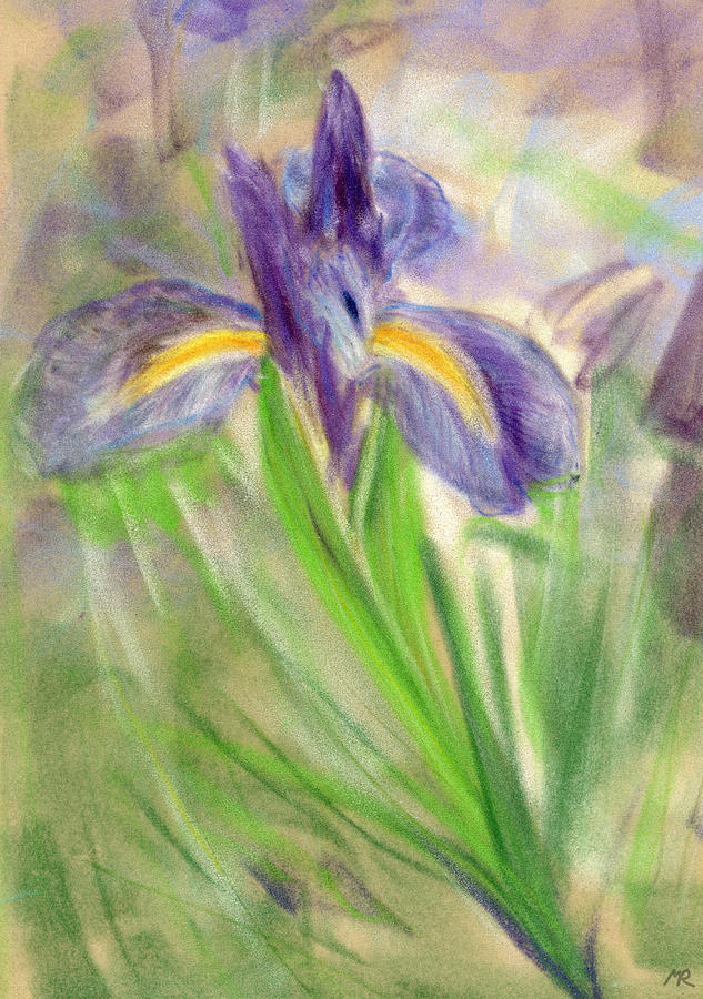 Iris II Painting by Michelle Reeve