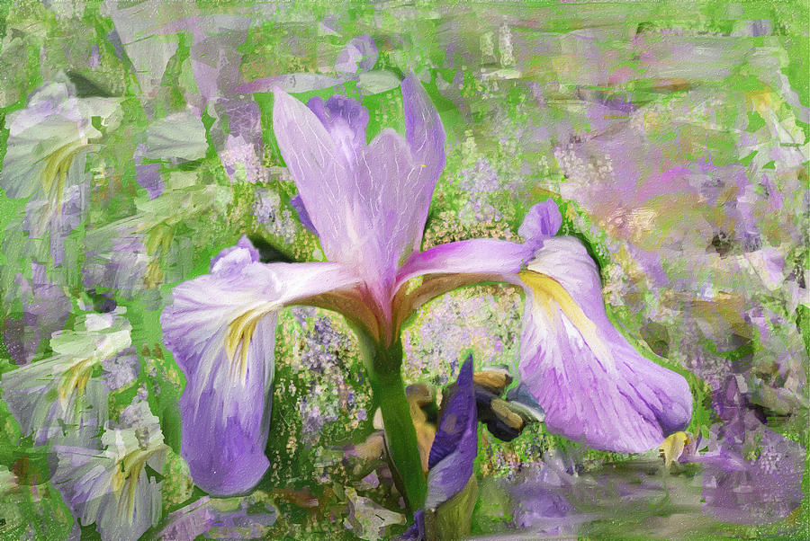Iris Flowers Painting - Iris illusion  by Don Wright