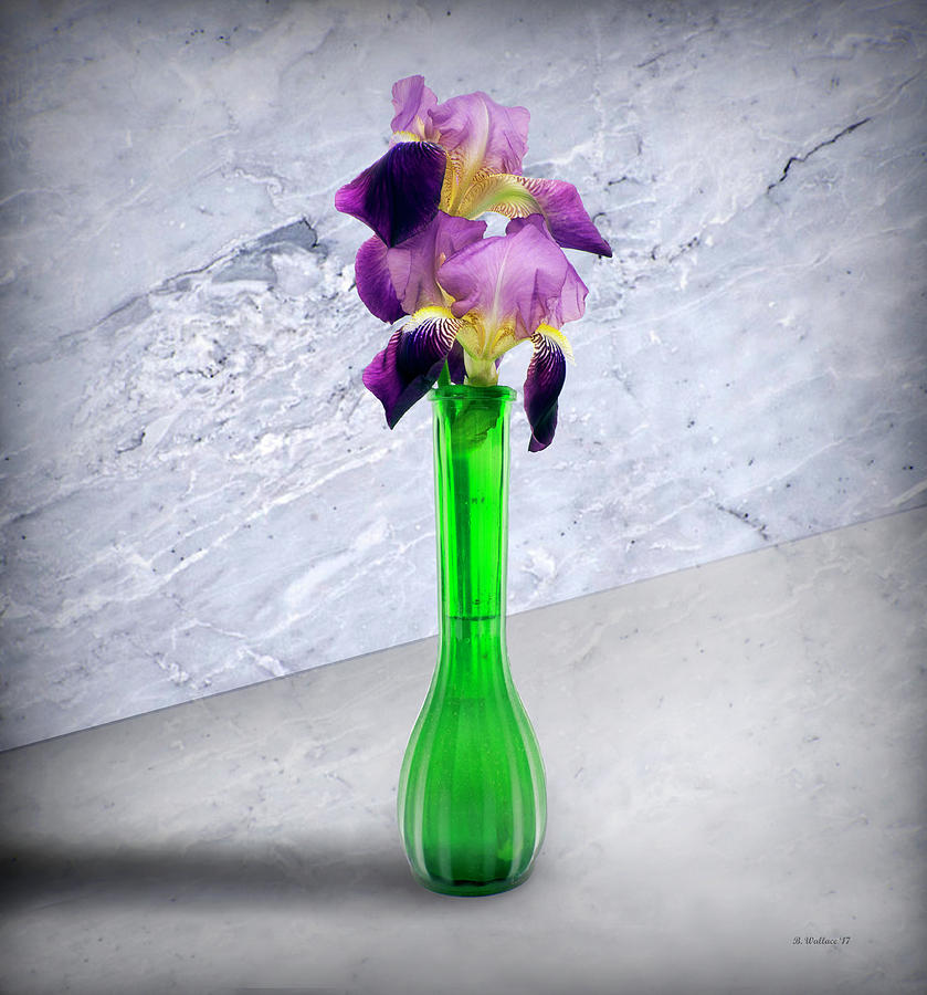 Iris In A Green Vase Digital Art by Brian Wallace