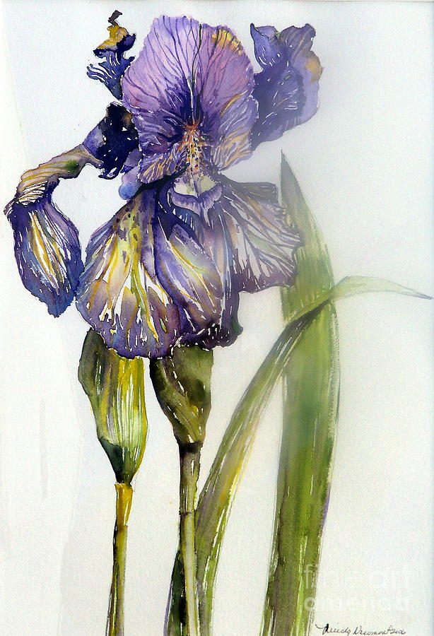 Iris in Bloom Painting by Mindy Newman