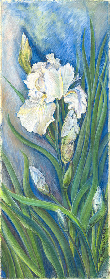 Still Life Painting - Iris in blue by Tatiana Rodionova Still Life Painting - Iris in blue by Tatiana Rodionova