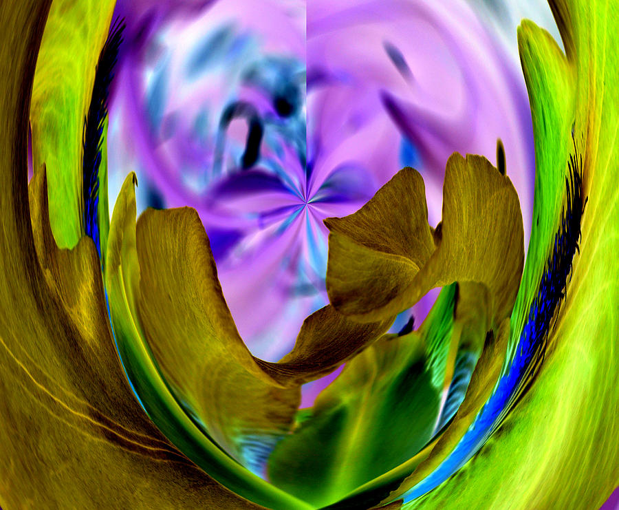 Iris In Coals Digital Art by James Granberry