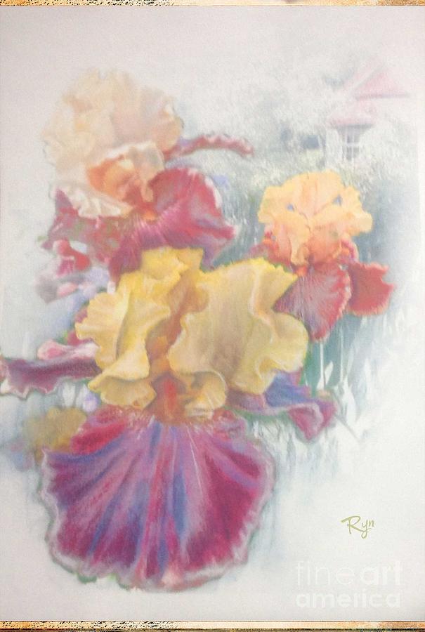 Iris in Cottage Garden Painting by Ryn Shell