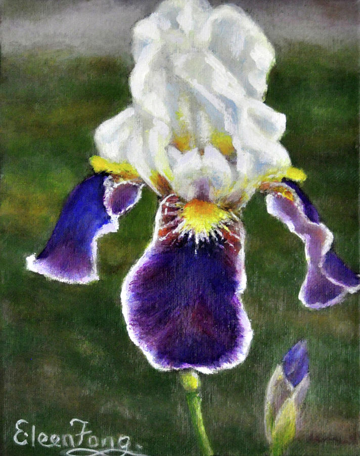 Iris in Meadow Painting by Eileen  Fong