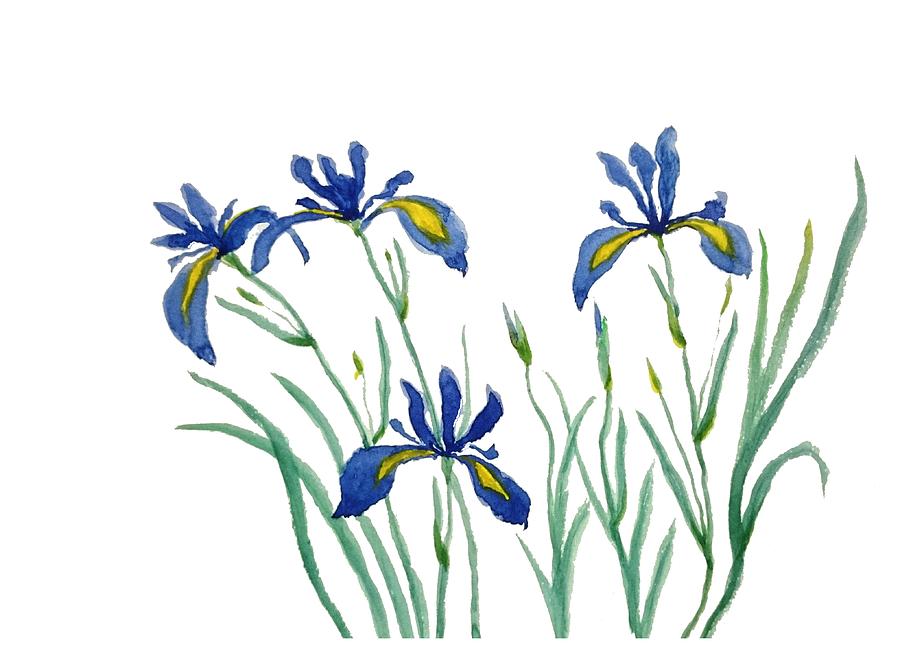 Iris in Japanese style Painting by Color Color