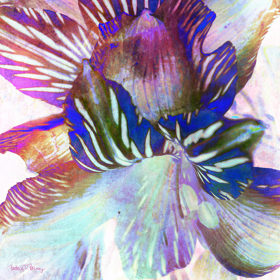 Iris IV Digital Art by Barbara Berney