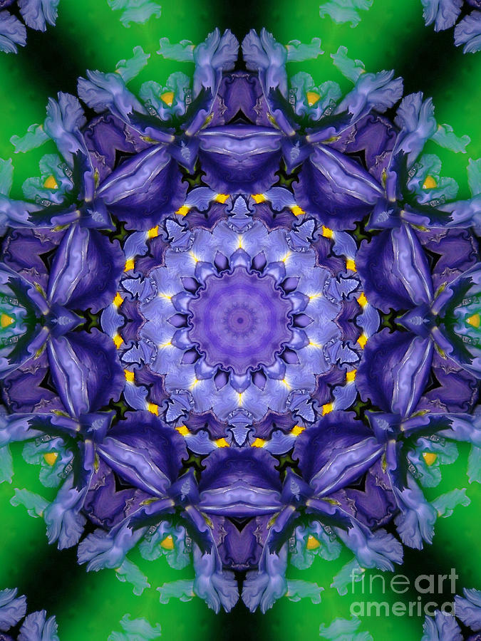 Iris Kaleidoscope Mixed Media by Roxy Riou