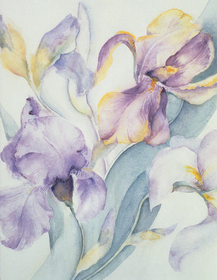 Iris Painting - Iris by Karen Armitage