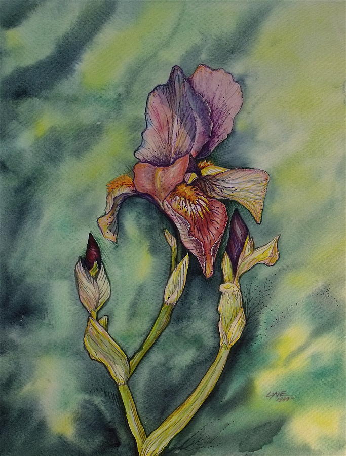 Iris Painting by Lynne Haines