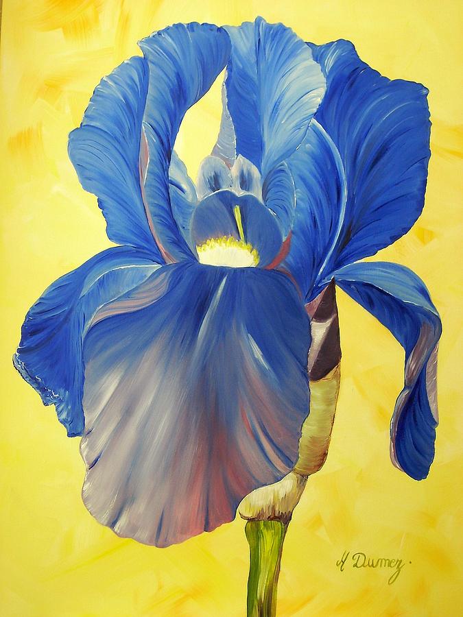 Iris Painting by Murielle Hebert