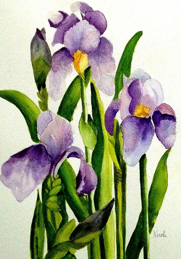 Iris Painting by Nicole Curreri