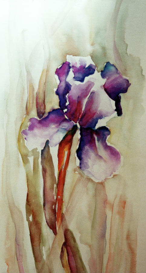 Iris Number One Painting by Mary Silvia