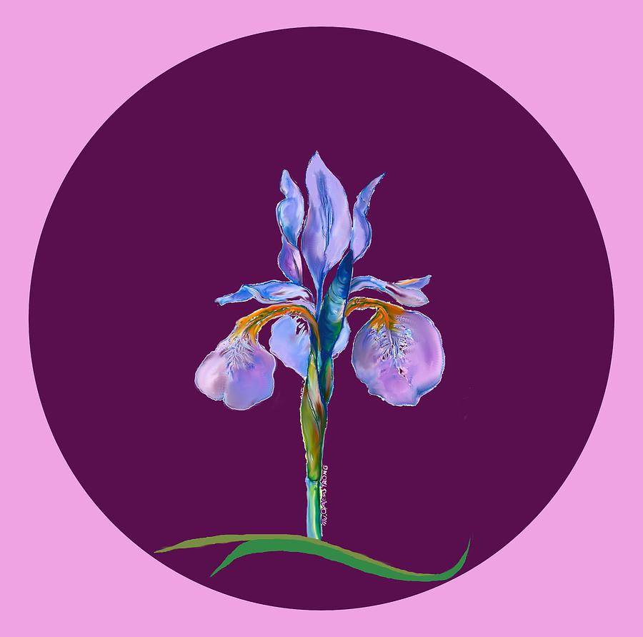 Iris on red purple Digital Art by Mary Armstrong