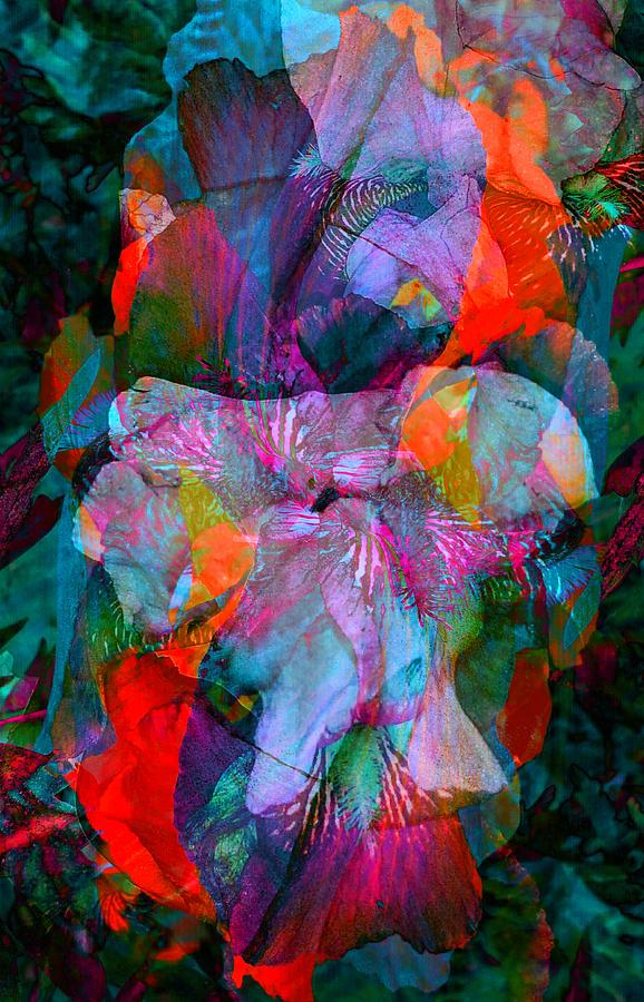 Iris Potpourri Pop3 Digital Art by Trent Jackson