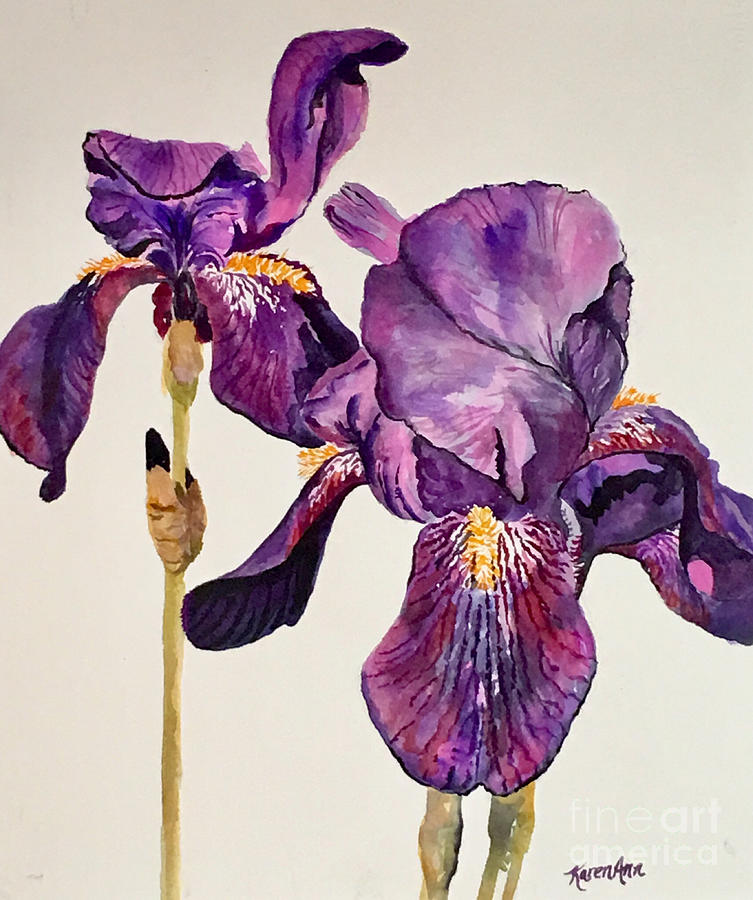 Iris Pure Painting by Karen Ann