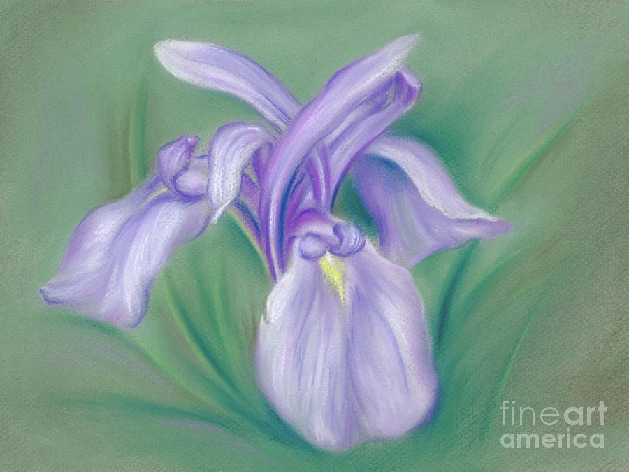 Iris Purple Painting by MM Anderson