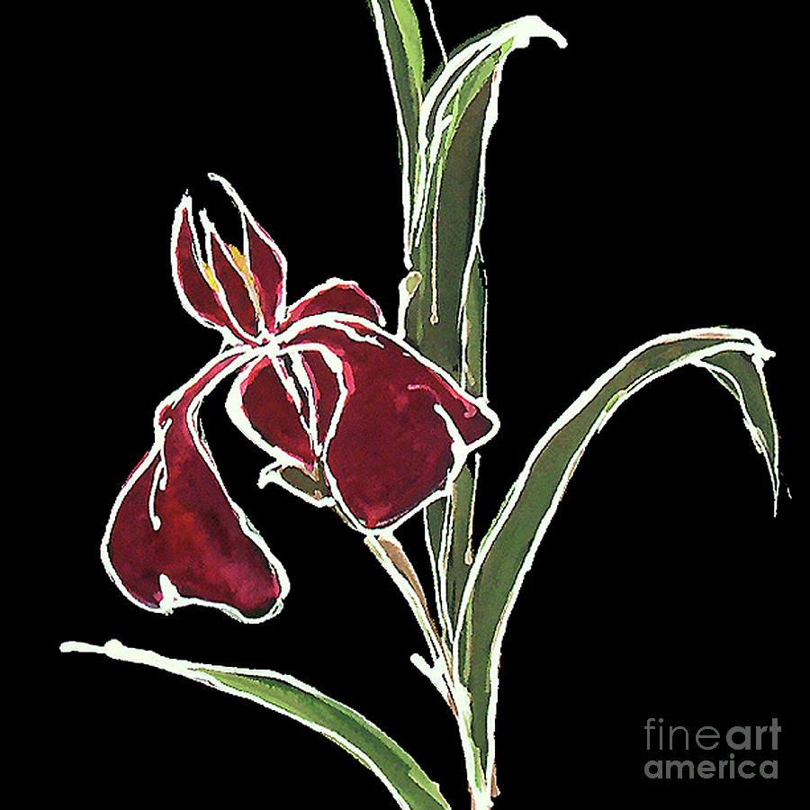 Iris-Red Painting by Chris Paschke