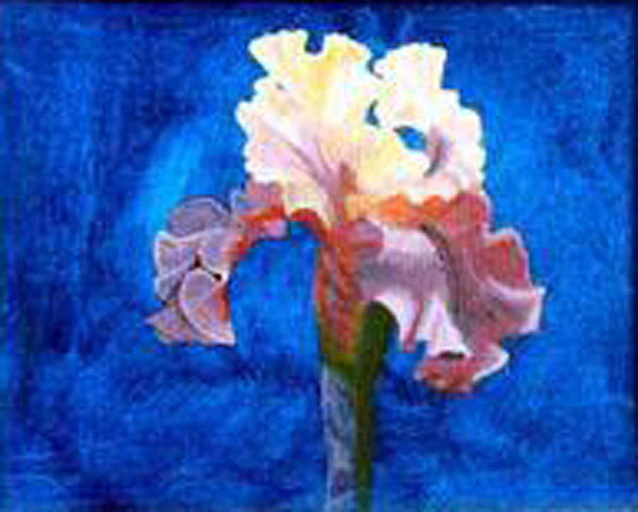 Iris Painting by Richard Le Page