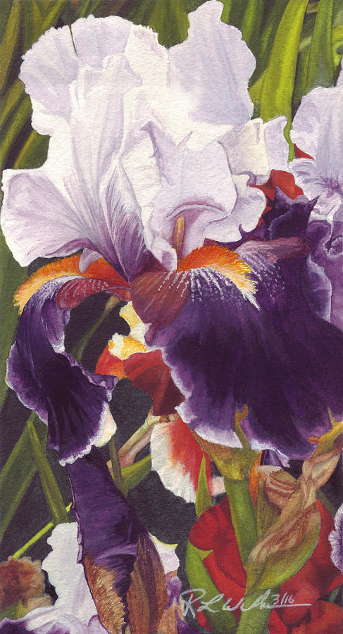 Iris Painting by Ronald Wilkie