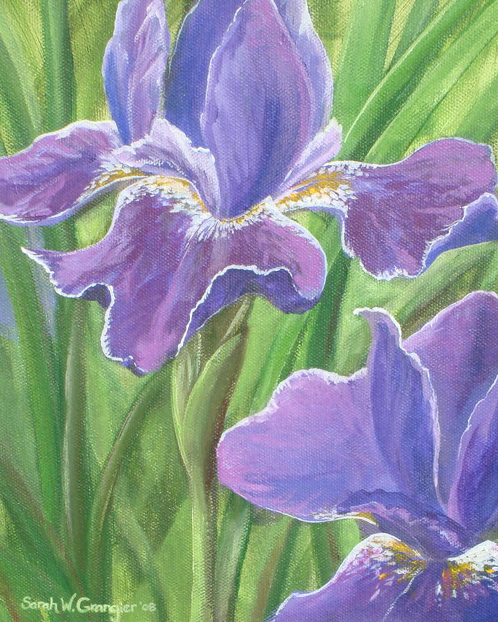 Iris Painting by Sarah Grangier - Fine Art America