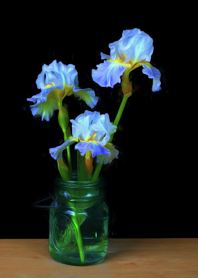 Iris - Simply Photograph by Nikolyn McDonald