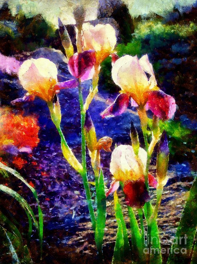 Iris Song Photograph by Janine Riley